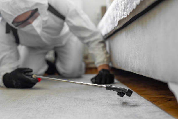 Professional Bed Bug Control technician working in Old Brookville, NY